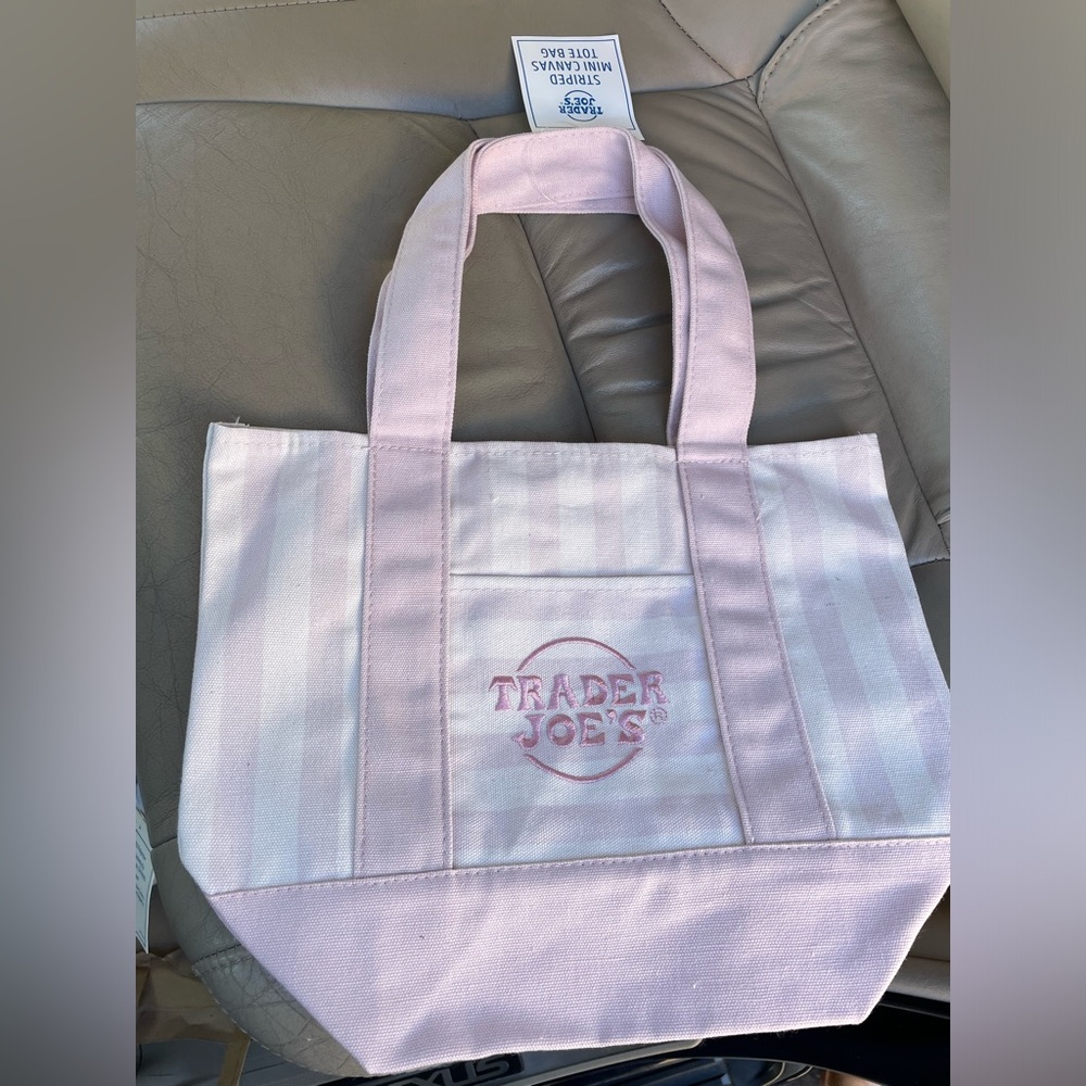 Trader Joe's Striped Mini Canvas Tote Bag NWT